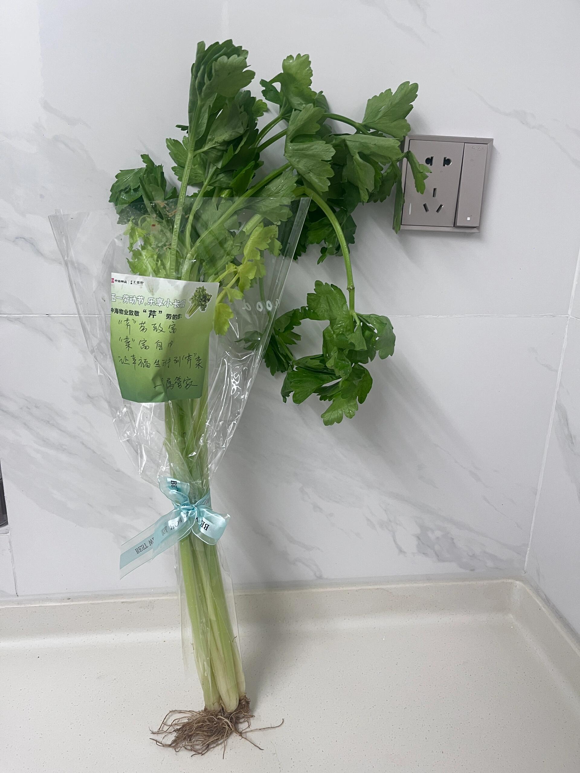 劳动节物业送芹菜属实没想到哈哈哈假日先疯派春日放个疯​​​