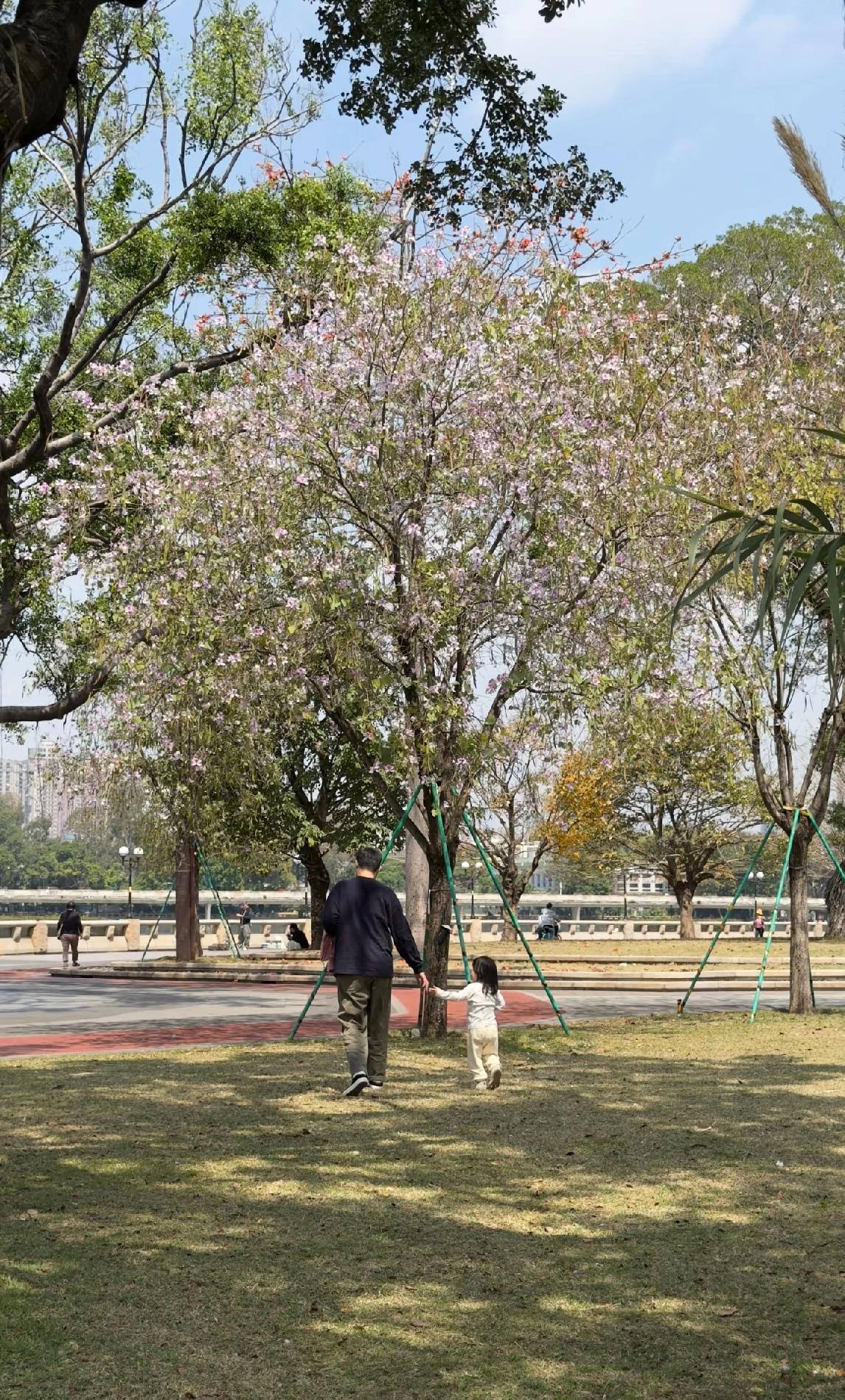 老马40岁被裁员，他说目前不打算找工作，在家接送孩子，给老婆做饭。​他老婆