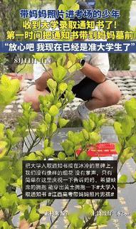“泪崩了！”江西一男孩收到大学录取通知书后，第一时间赶往妈妈的墓前，分享喜悦，为