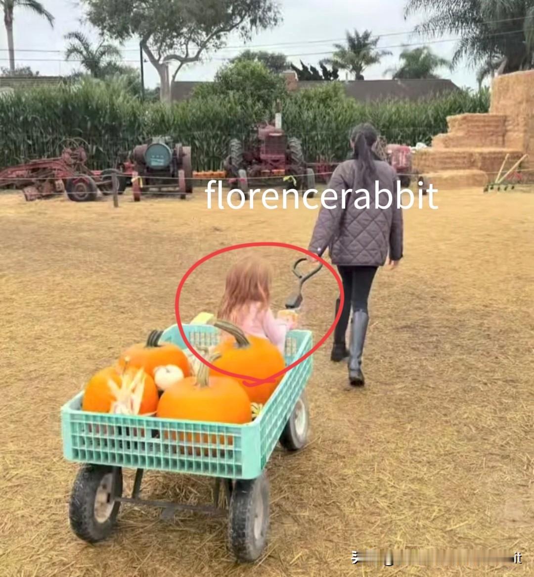 苏塞克斯的南瓜节!这一家四口加上梅根她妈以及她的男闺蜜齐齐上阵,哈里也雕起了南瓜