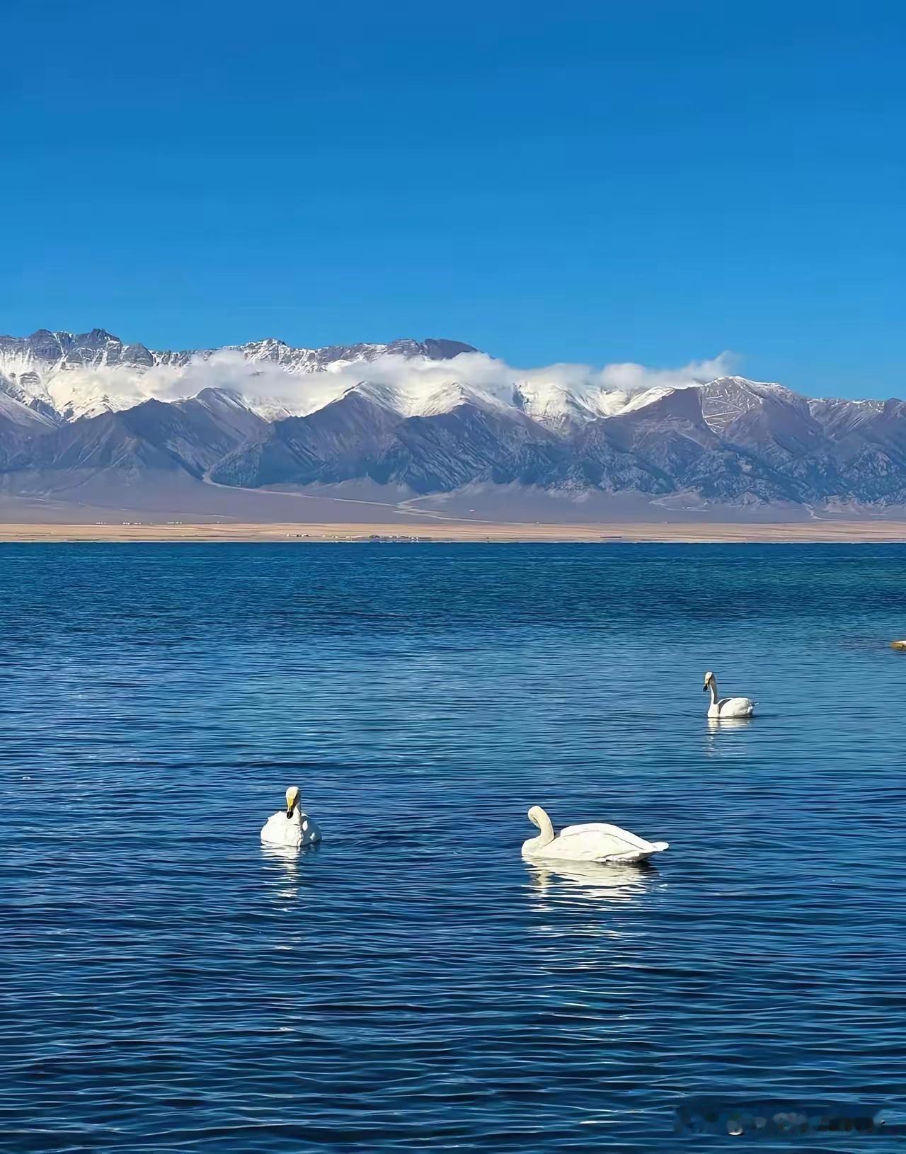 还在开燃油车的10类人，每一类都说到了心坎里！还在开燃油车的基本就这10类
