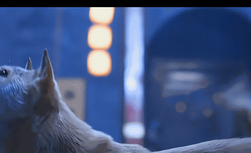 《长安二十四计》谢淮安长大了，家里的小狗依旧认得他，还把他带到父亲的墓前。大黄出