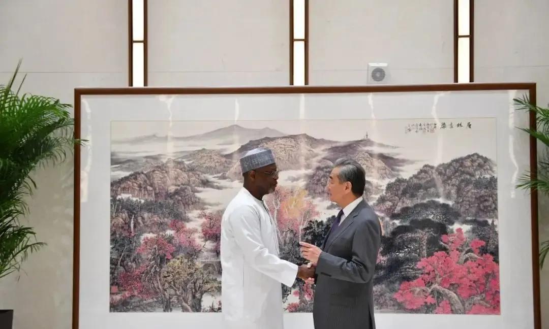 尼日尔政府闹了一圈终回正轨访华寻求原谅据法新社6月11日消息，尼日尔军政府外