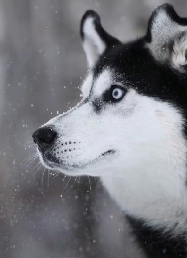 终于明白为什么说眼妆狠狠狠重要