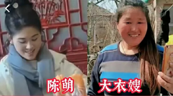 明星婆媳颜值对比，孙俪刘诗诗与婆婆同框，不是一家人不进一家门第1位:陈萌第2