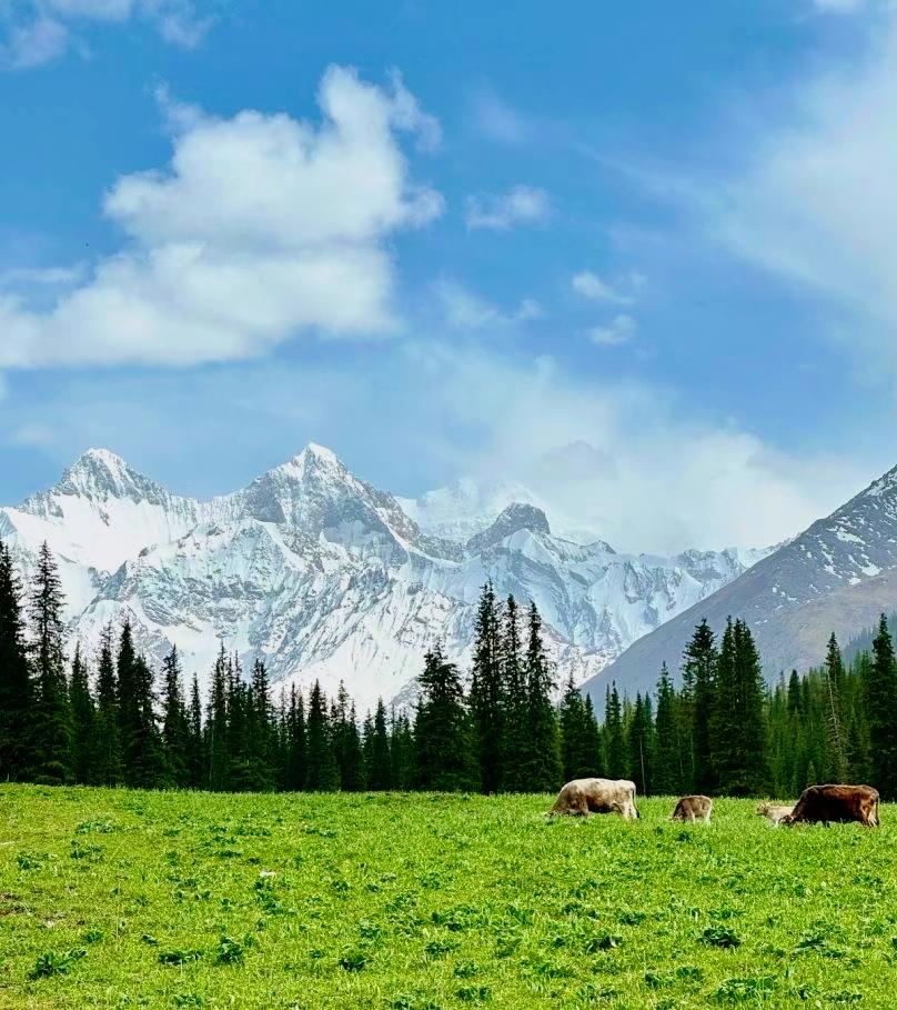 男人好色，女人爱财你站在厨房，鱼就是食物你站在佛堂，鱼就是生命你站在市场，