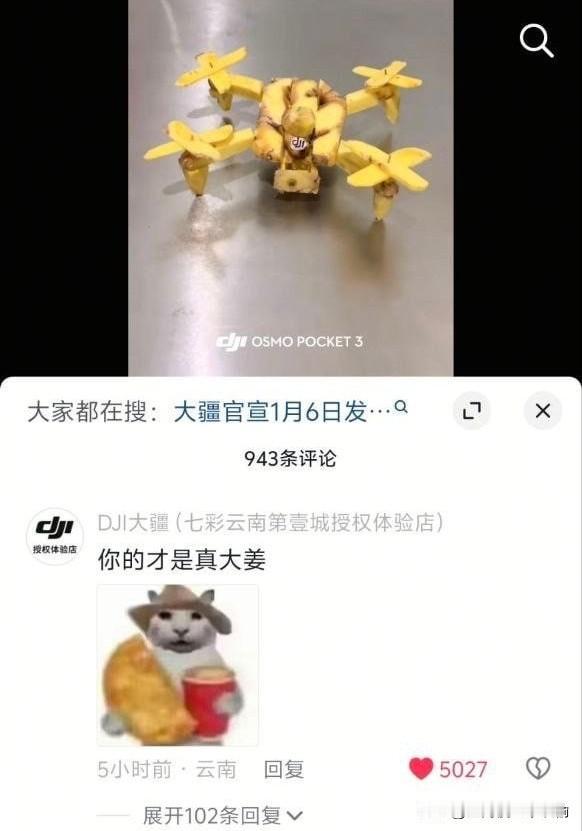 真·大姜无人机