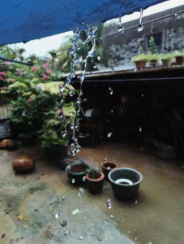 以“雨”为主题写现代诗，关键在于抓住独特的意象和个人化的感受，而不是单纯描写雨景