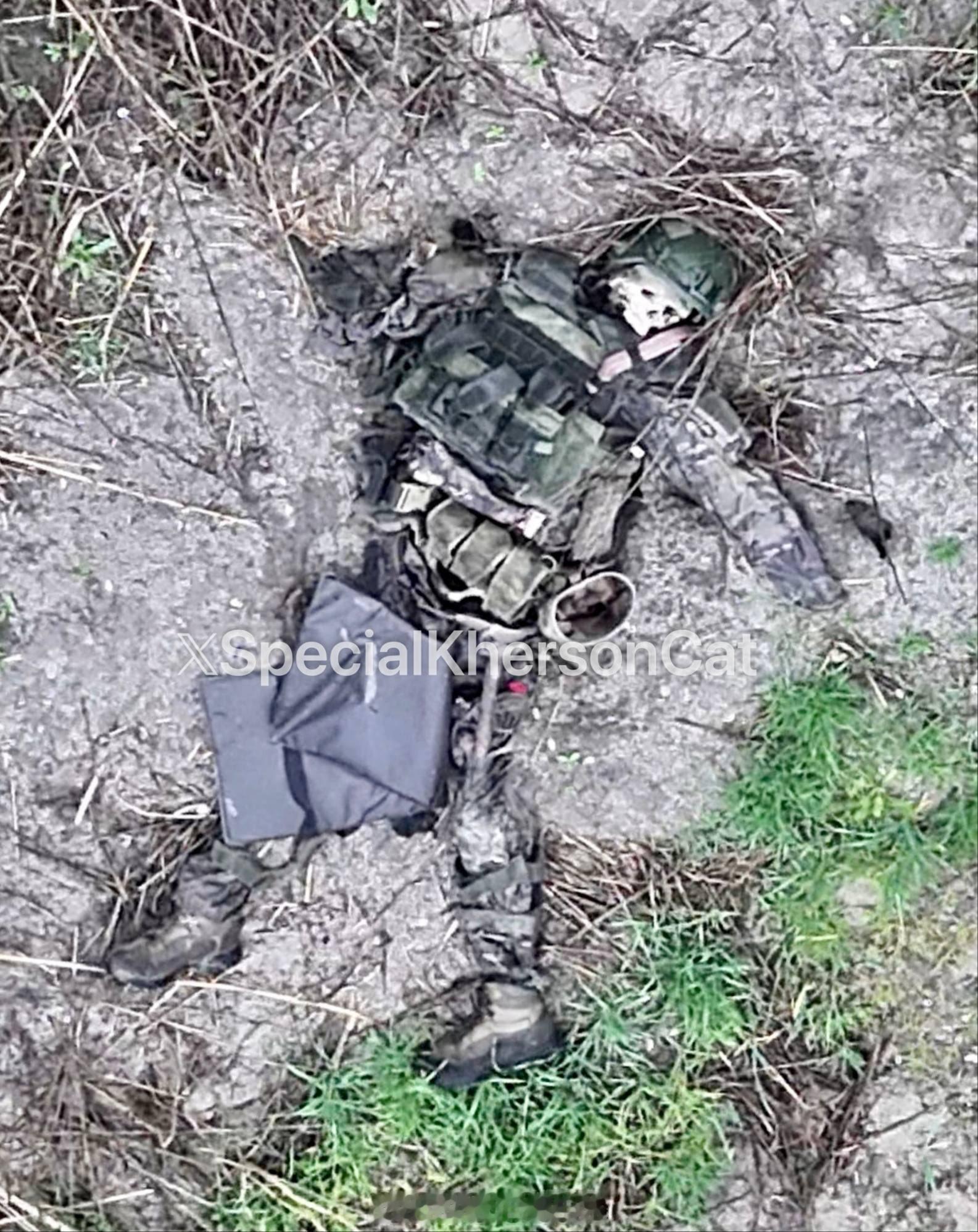 君不见青海头古来白骨无人收