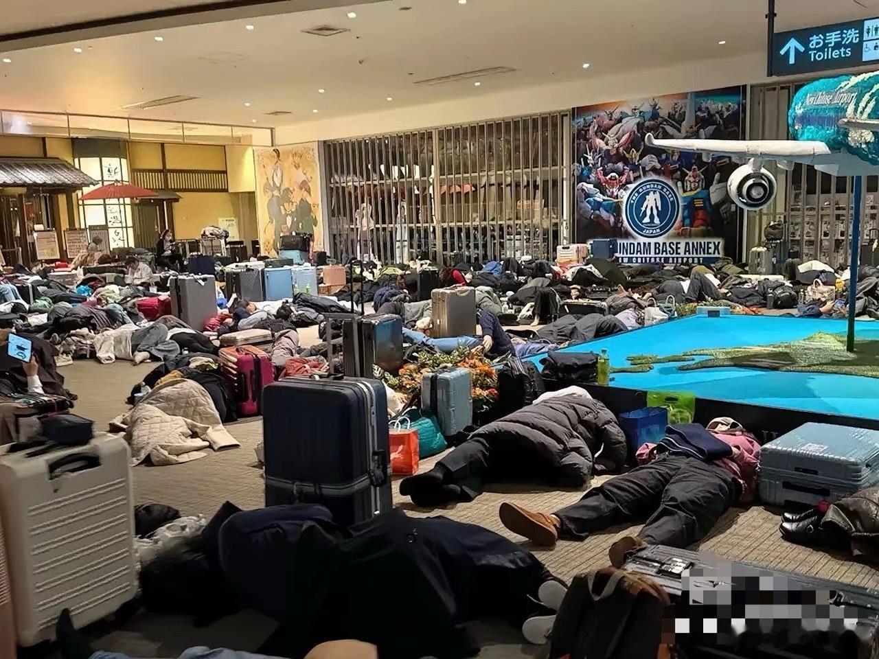 “必须派包机！”北海道游客喊话祖国，这波“巨婴”操作太秀下限！一群人在北海道可劲