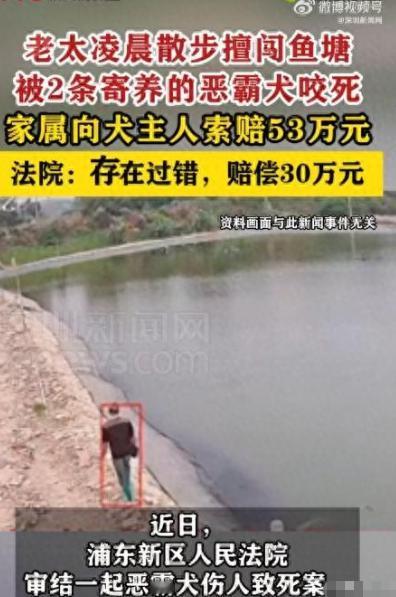 上海，一位80多岁的陈老太因年纪大睡不着，凌晨五点出门溜达。她来到一片私人鱼塘，