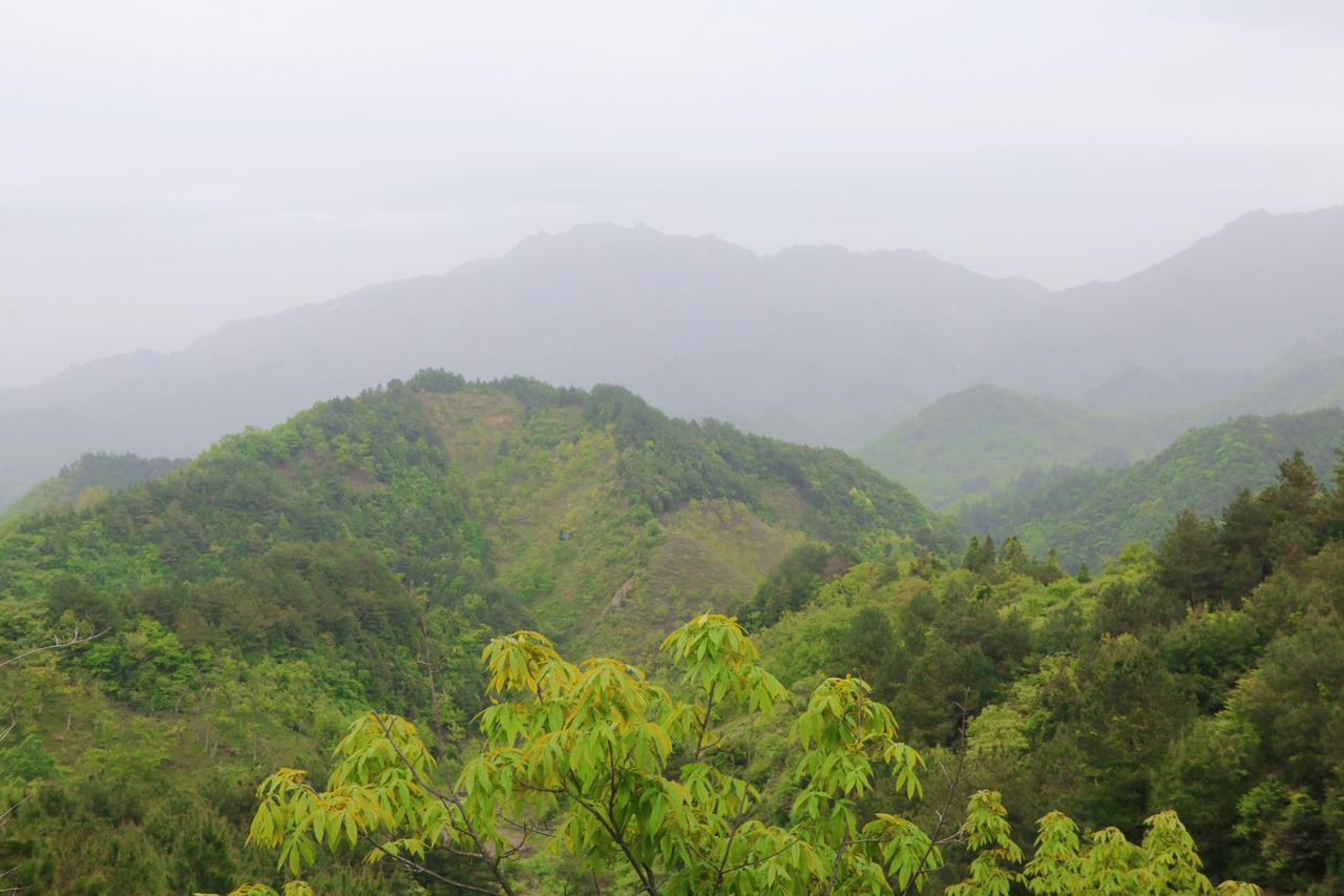今天晚上安排了一个初三学生的数学，孩子是金陵汇文的，能考到90多分，但要想再