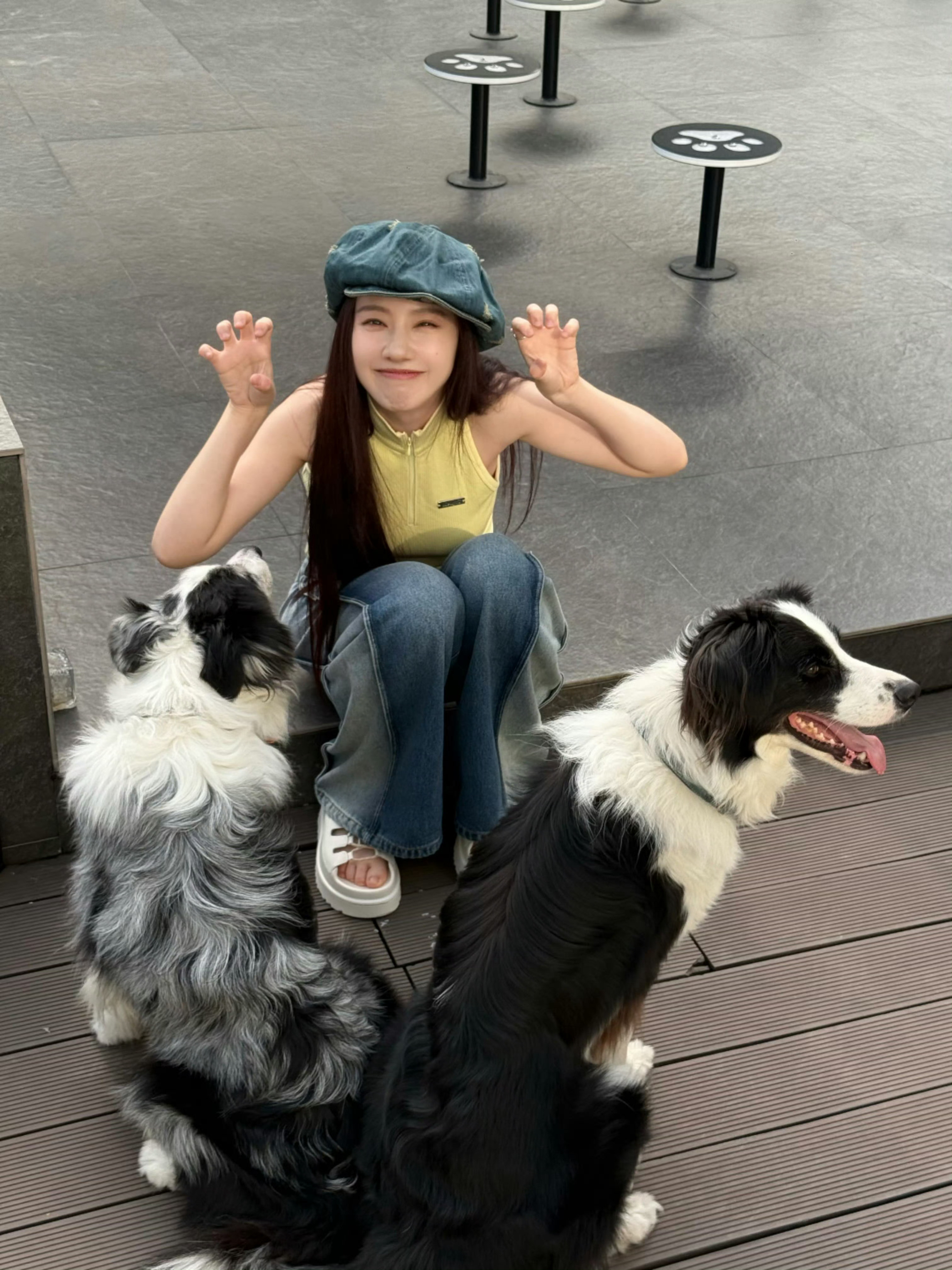 王鹤润遛狗碎片🐶