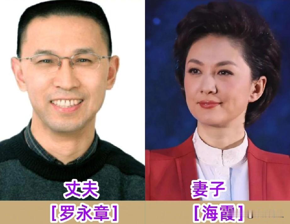 央视主持人夫妻颜值对比！最磕罗永章和海霞这对，刚强和徐春妮也超配！王斑和曹颖也很