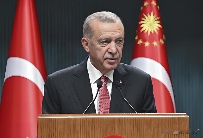 土耳其这提议太好笑了！据媒体报道，土耳其总统会见了俄总统普京，开口就出奇招说可以