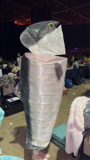 别脱，我要的就是三文鱼