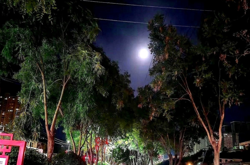 老公恶心到我了，昨天晚上和我关系比较密切的女邻居叫我出去遛弯，我老公也在，就一起