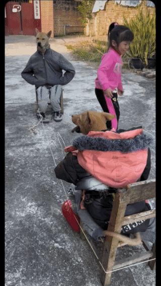 就会欺负我，有本事你欺负狼试试！