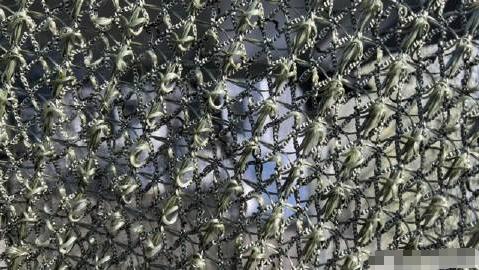 乌克兰无人机横行的好日子要到头了？谁也没料到，终结它们的不是更先进的防空导弹，而