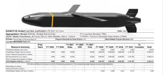 🔻美国佬搞的一堆廉价小型巡航导弹，让一批民企参与生产的，美国空军2027年分配
