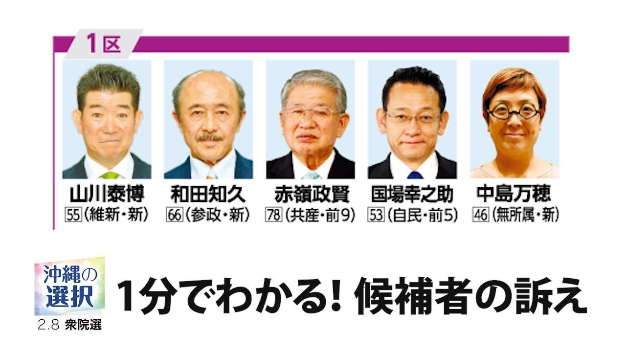 9届日本共产党众议院议员赤岭政贤落选。赤岭政贤，1947年12月出生，日本共产党