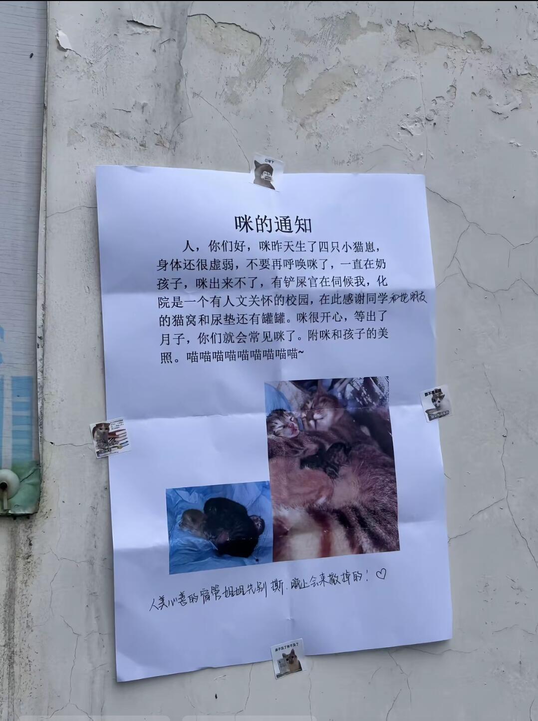 我上网就是为了看这些的！眼睛尿尿了虽然咪是文盲，字是人代写的
