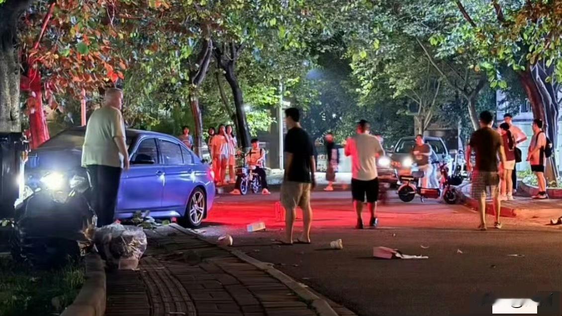 这辆肇事的蓝色汽车冲出马路上的台阶，冲出人行步道上的台阶，撞在了一棵树上才停了下