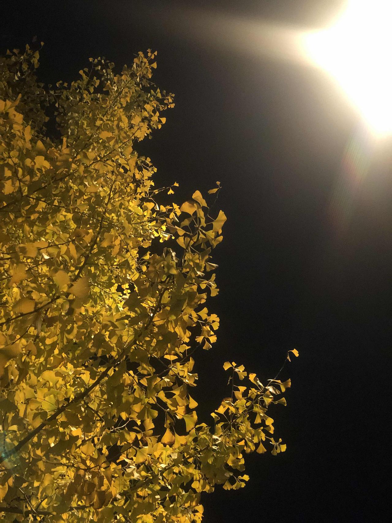 俄乌和平协议一旦达成，实现持久和平。乌克兰加入欧盟，20年后发展成欧洲发达工业国