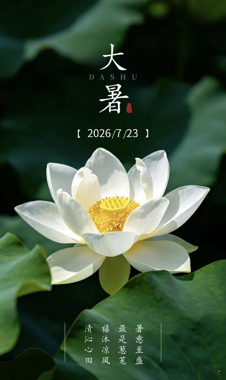 “三伏热不热，就看大暑”，今日大暑，今年三伏天很热吗？蝉鸣热浪之中，我们迎