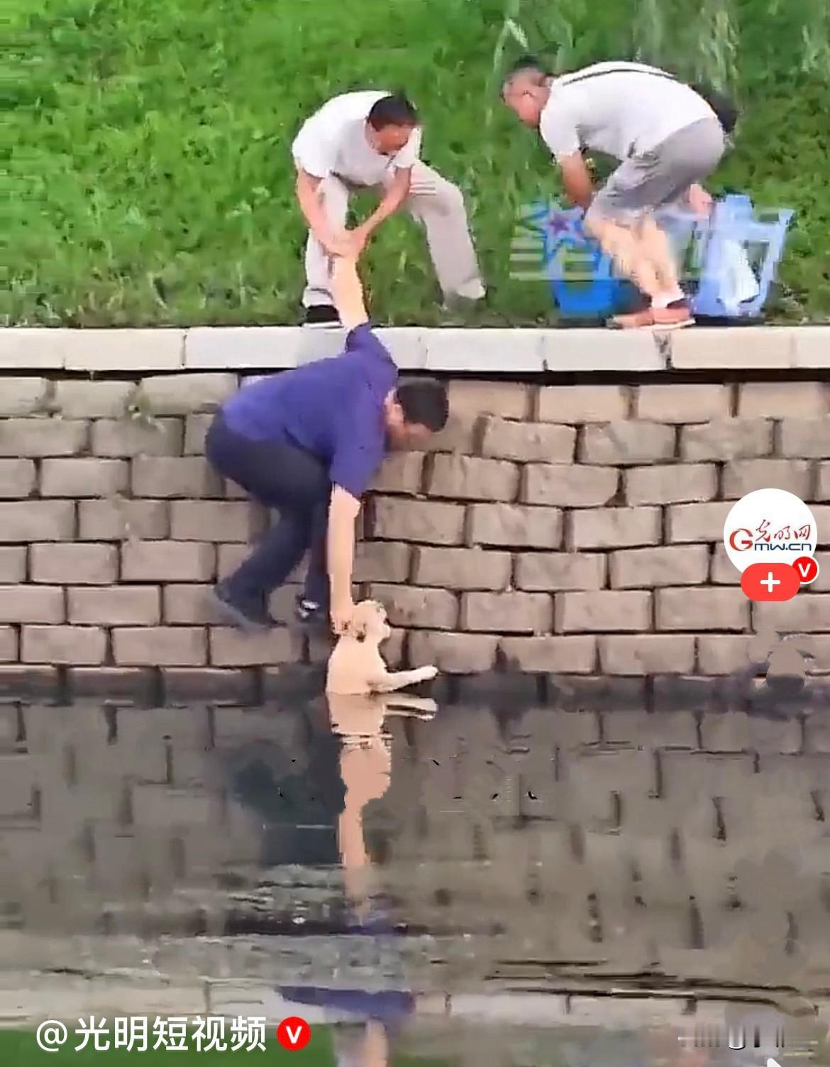 近日，辽宁沈阳，一只可爱的小狗不小心失足落水，在水里无助挣扎，怎么也爬不上岸，看