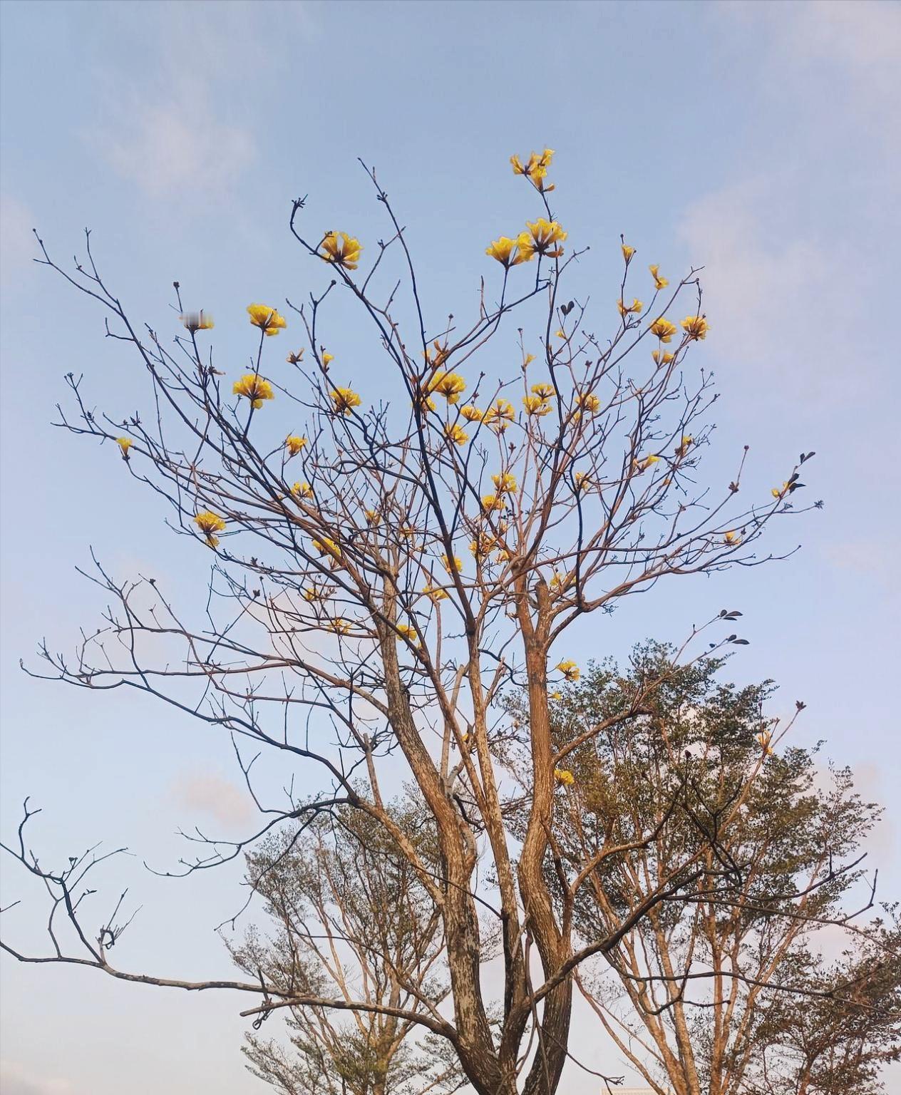 我有一个怪癖，我老公受不了，我也一直改不掉。就是嫁给他这么多年来，我基本不和