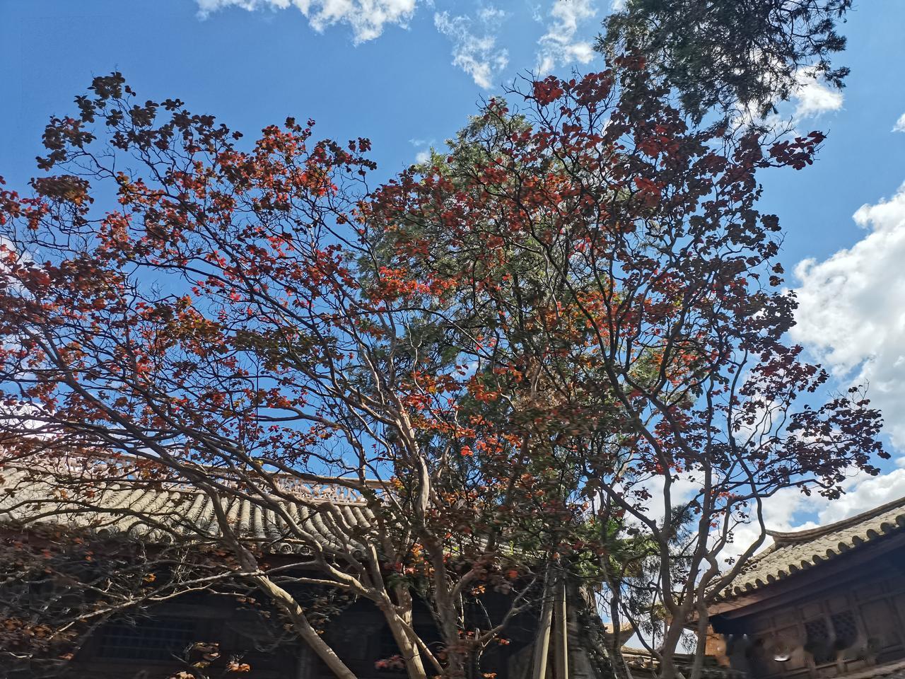 秋日生活打卡季秋日冲巍山古镇！早赶集+好空气，也太舒服了吧秋天来巍山，必须