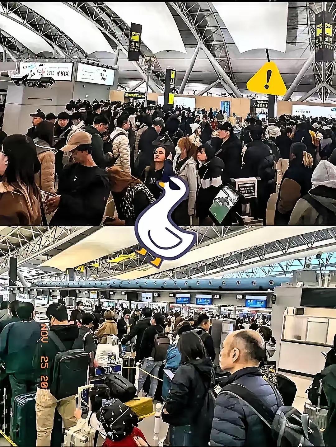 傻眼了吧？赴日旅游的人怕是万万没想到，出发时的潇洒，竟变成了归程时的手足无措！