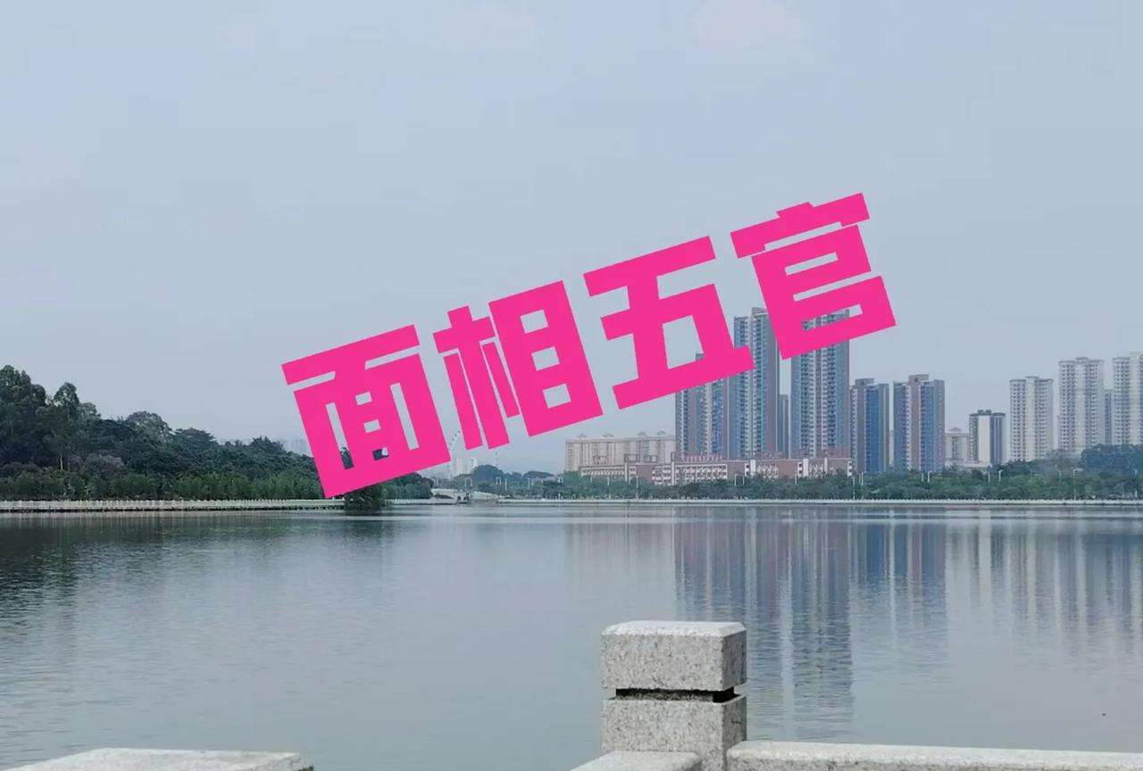 面相五官耳（采听官）：耳大垂厚主长寿，耳薄无珠多奔波。眉（保寿官）：眉清目秀