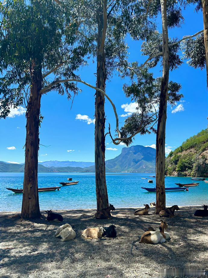 在这宁静的山水之间，感受心灵的宁静与美好。🌅💖