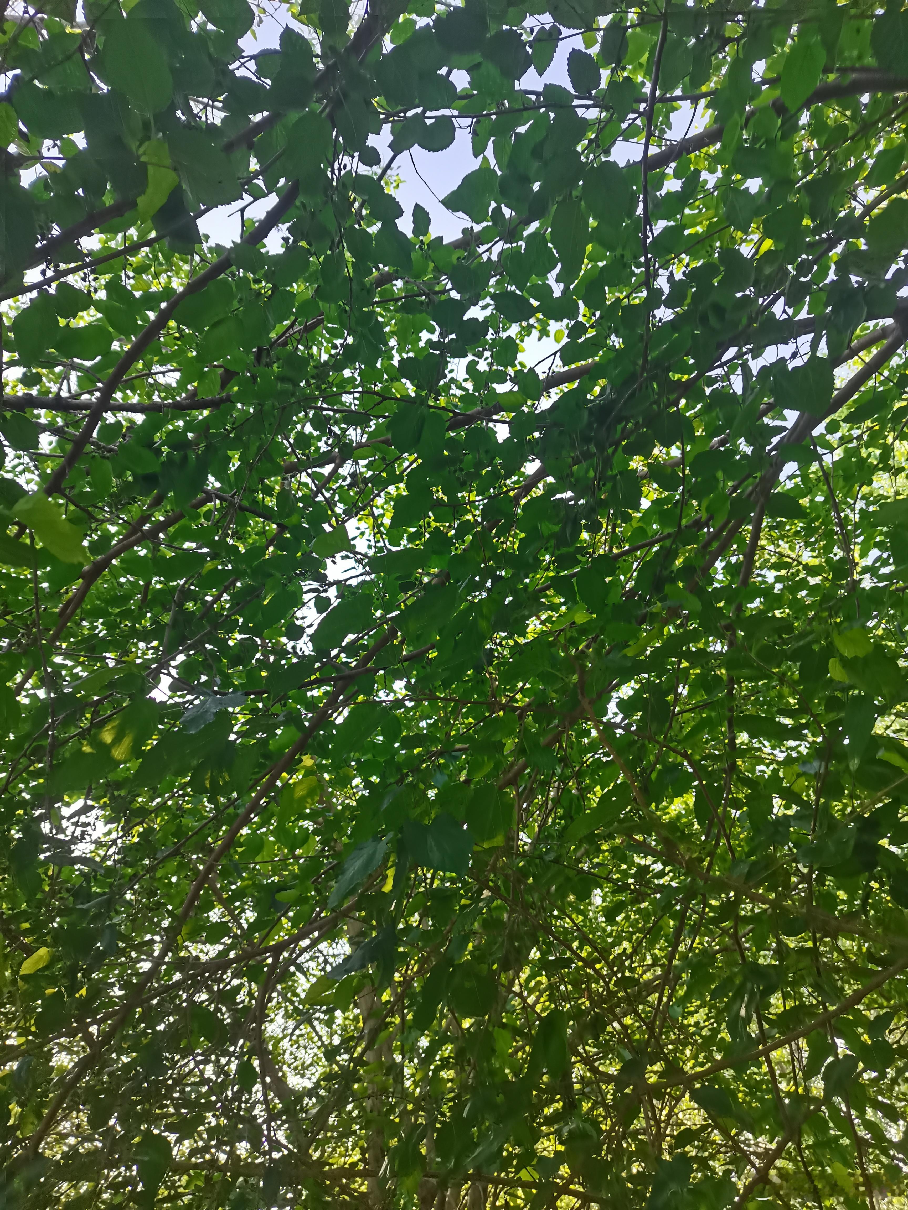 人在职场要学会藏锋芒、显从容。一个真正强大的人，往往姿态最低调，行动最果断。人群