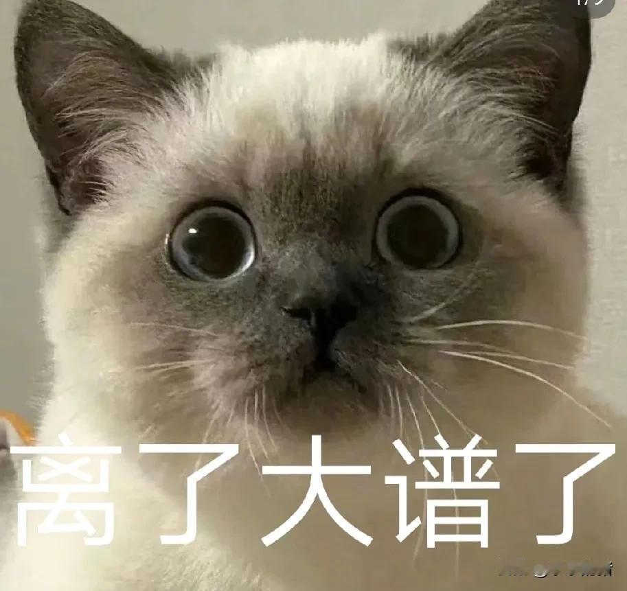 我表弟五一那天结婚，刚刚和表姐视频才知道表弟已离完婚了。这一个五一假把结婚和离婚