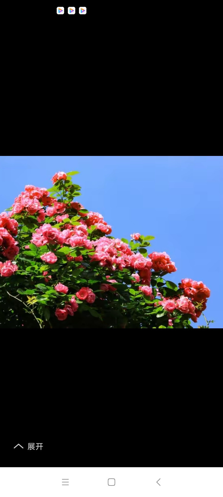 美女美女，早上好呀！看这女孩子不仅有着漂亮的外表，还温柔体贴，实在太有魅力啦