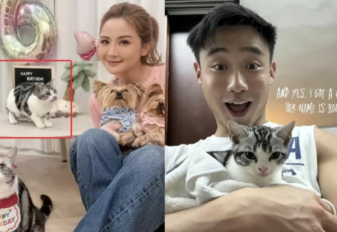 我能接受蔡卓妍找了个健身教练做男朋友，也能接受蔡卓妍比他年龄大10岁，让