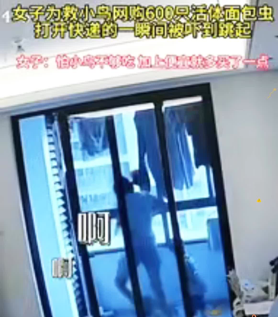 笑不活了家人们！浙江一女子救了只快不行的小鸟，怕它饿肚子，直接网购600只活