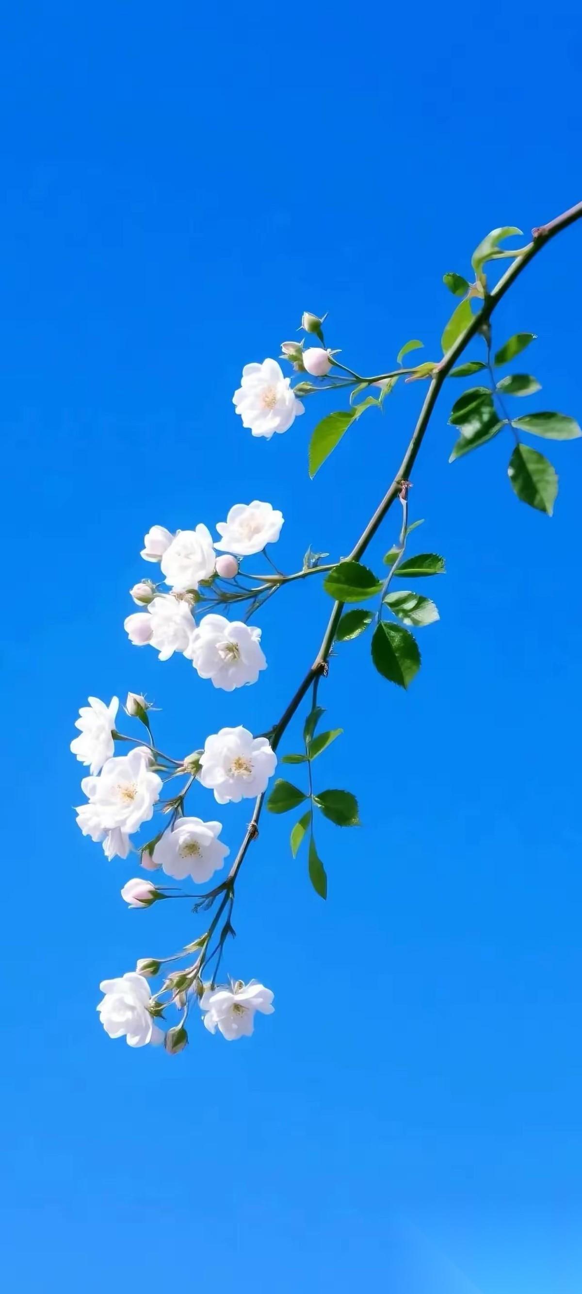 一位按摩店老板娘说:你们这些女技师给客人按摩的时候，千万不能够乱摸。哪怕客人给你