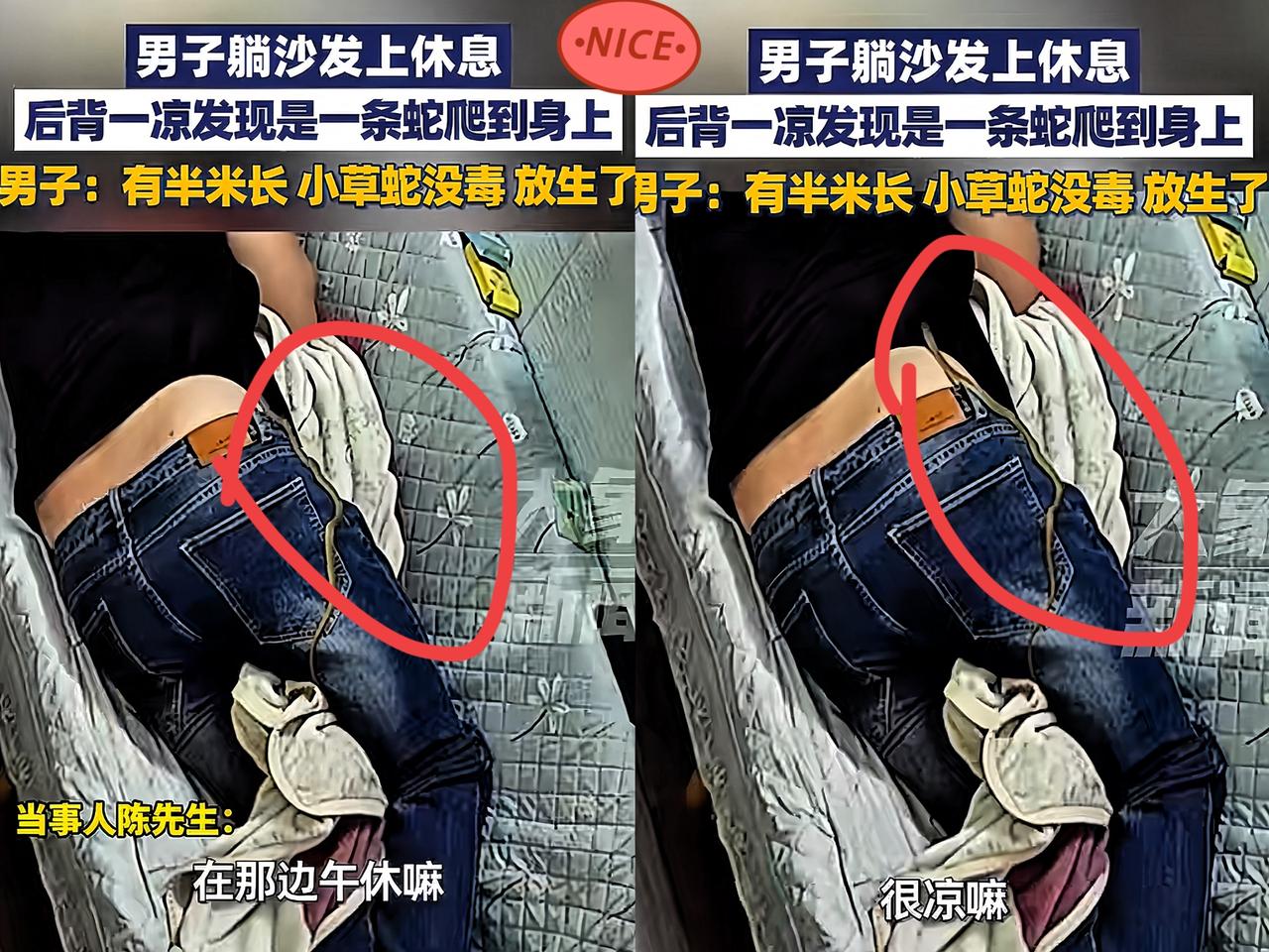 近日，福建漳州一男子上了一天班很是疲惫，回家躺在沙发上睡着了，睡梦中他感