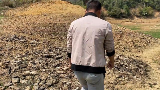 重庆沙坪坝区歌乐山街道的下天池水库出大事了！这上百亩的水库突然干涸，鱼群也消失不