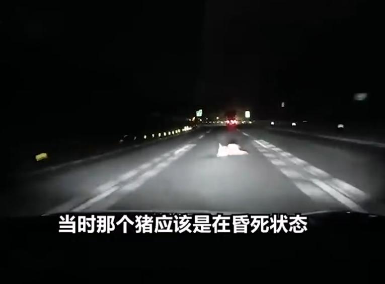 福所祸所依，祸所福所伏。高兴大发了，不知道啥祸会从天而降。前不久，广东佛山男子