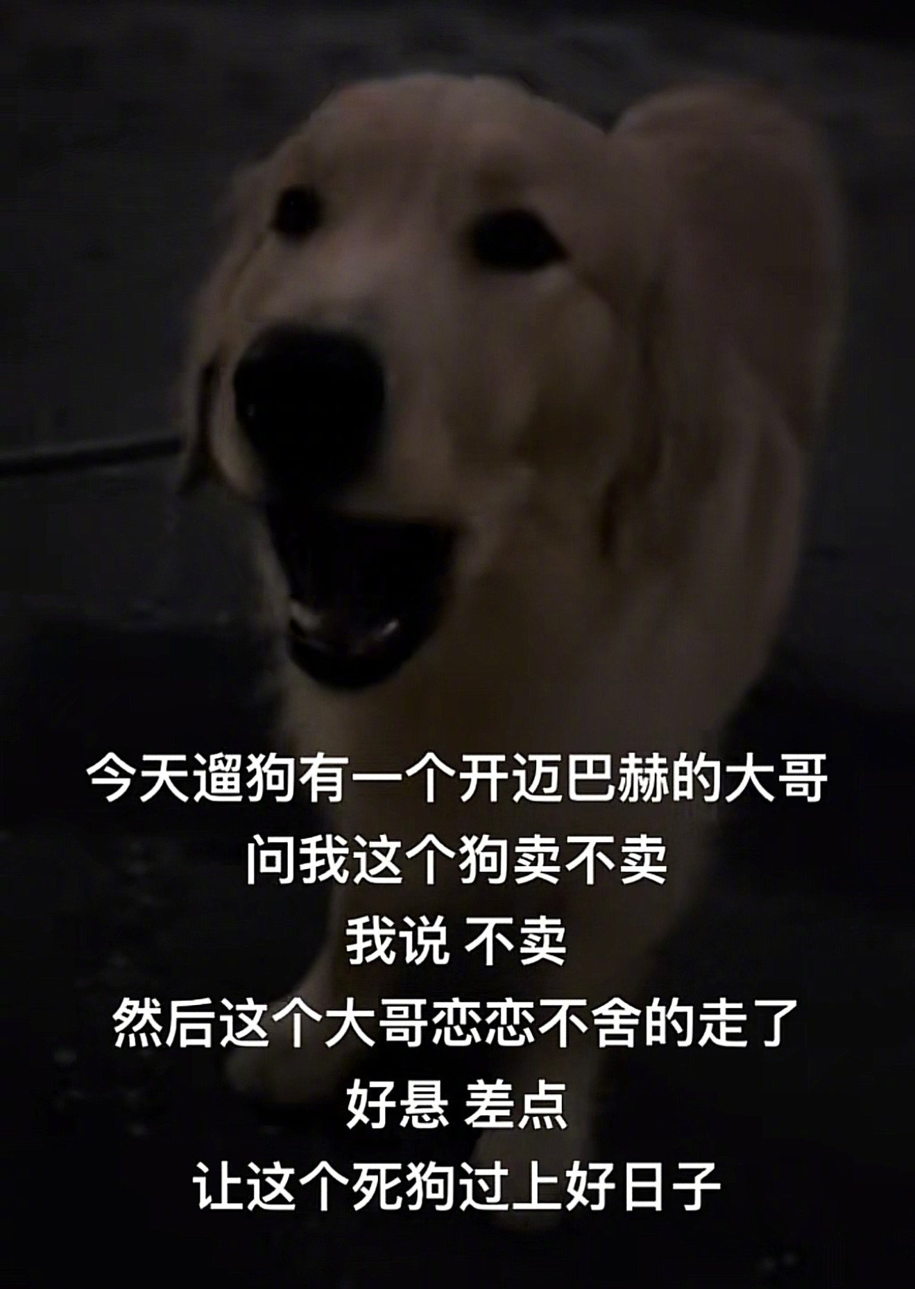 以为是舍不得，原来是看不得[doge]狗富贵，人不让