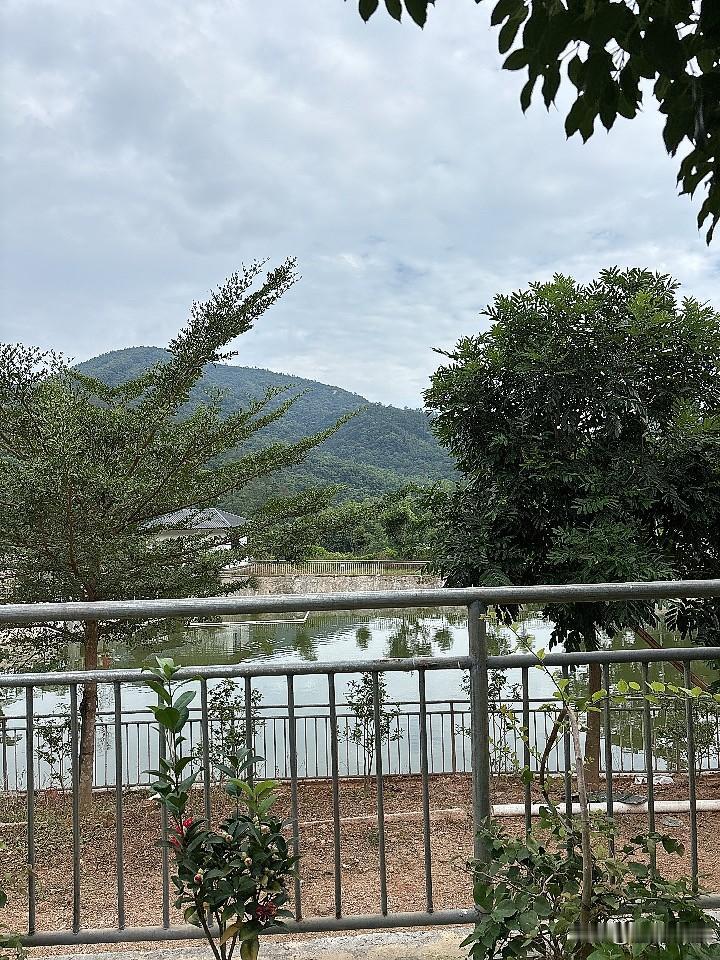 如果60多岁的的一个女人,在农村有六个孩子,只有两个女儿结了婚,另外两个儿子和两