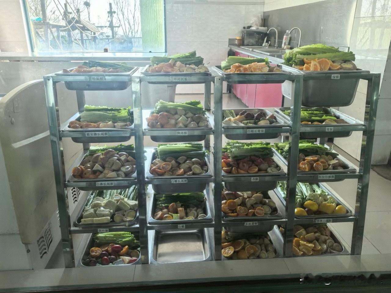 大连动物园猴子伙食太顶了网友：想魂穿当猴去大连森林动物园才发现，这儿的猴