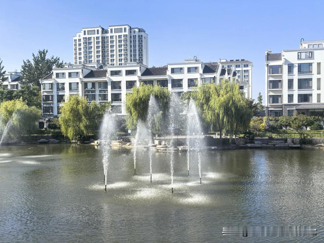 豆包帮我选。我从青岛出发，想去两个城市旅游，先去聊城还是先去淄博？乘高铁怎样走最