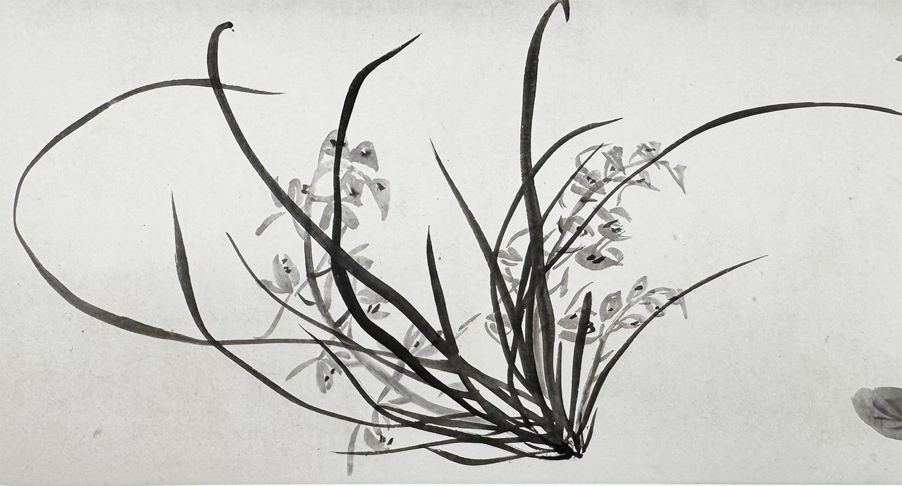 名画欣赏：明王铎《枯兰复花图》（局部）纵32.6厘米横1035.5厘米