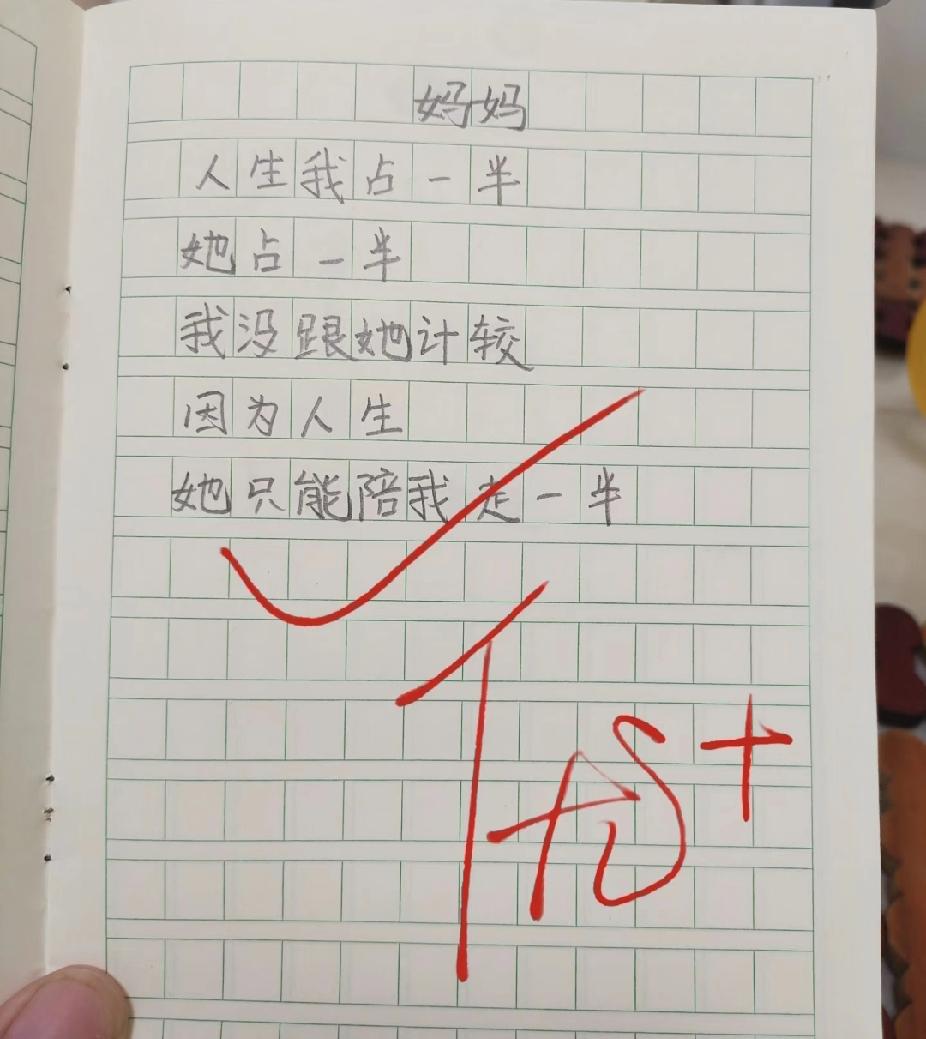 小学生写妈妈，短短几行看哭无数人